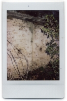 http://www.nfcallaway.com/files/gimgs/th-10_Polaroid_Muro-web.jpg