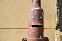http://www.nfcallaway.com/files/gimgs/th-17_DSC_0209.jpg