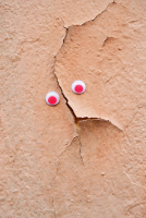 http://www.nfcallaway.com/files/gimgs/th-17_DSC_0420.jpg