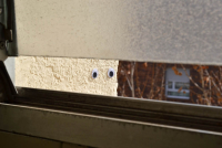 http://www.nfcallaway.com/files/gimgs/th-17_DSC_0579.jpg